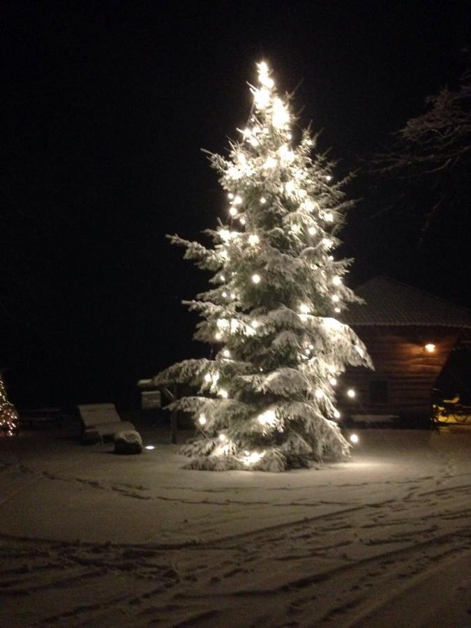 Bed & Breakfast Hoeve Springendal Hezingen Екстериор снимка